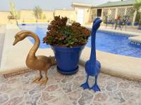 Reventa - Villa - Benimar