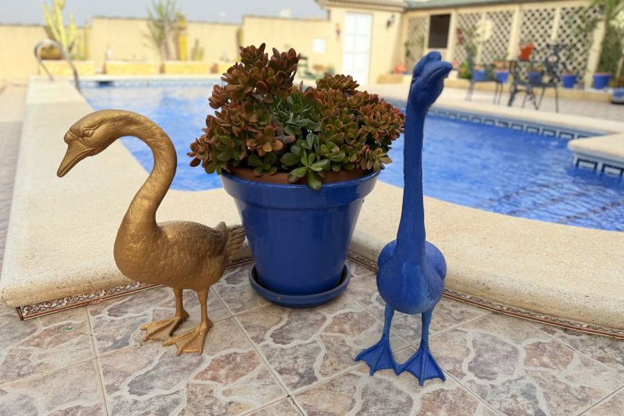 Reventa - Villa - Benimar