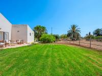 Reventa - Country estate - Elche/Elx