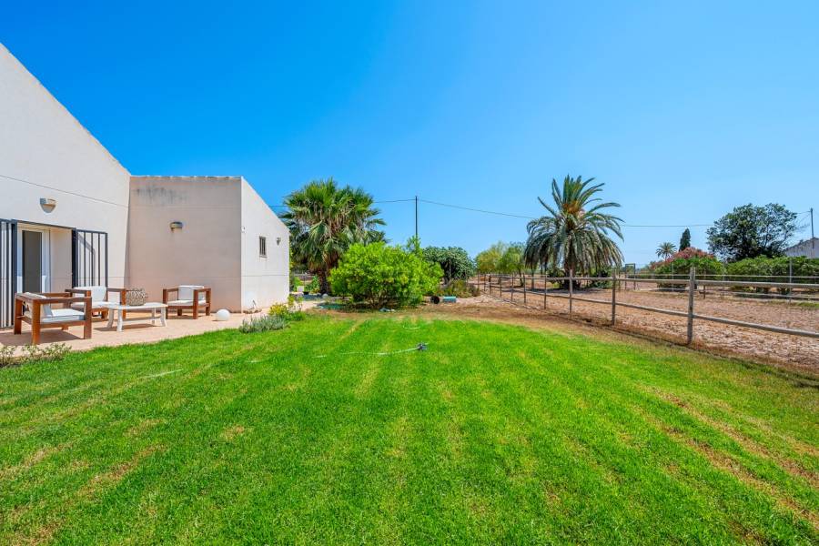 Reventa - Country estate - Elche/Elx