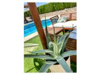 Reventa - Villa / Detached - Ciudad Quesada - Quesada Center