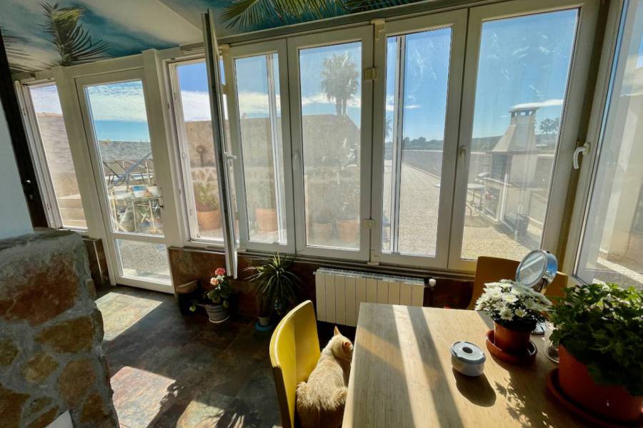 Resale - Villa - Guardamar del Segura
