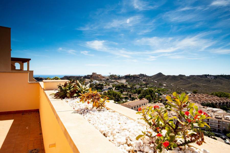 Obra Nueva - Apartment - Aguilas - Collados