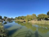 Reventa - Quad - Rojales