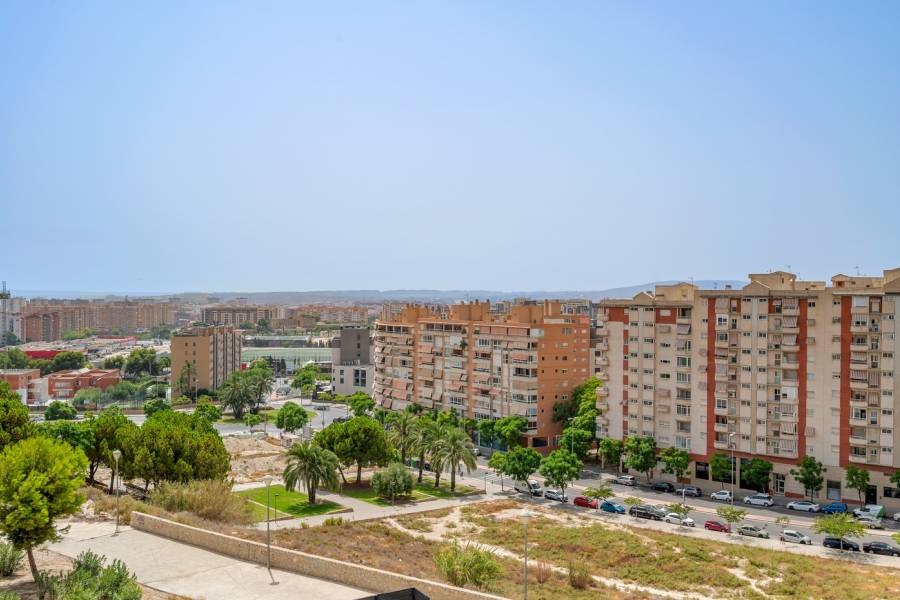 Reventa - Flat - Alicante - San Agustín-PAU 2