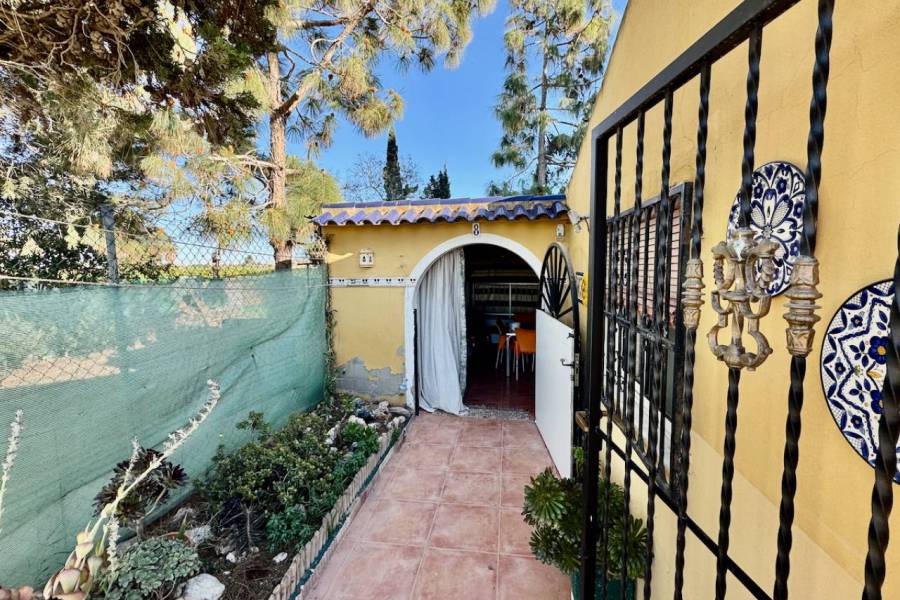 Reventa - Finca / Country Property - Guardamar del Segura