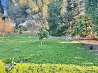 Reventa - Finca / Country Property - Guardamar del Segura