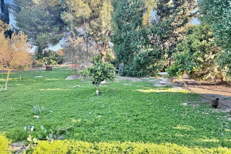 Reventa - Finca / Country Property - Guardamar del Segura