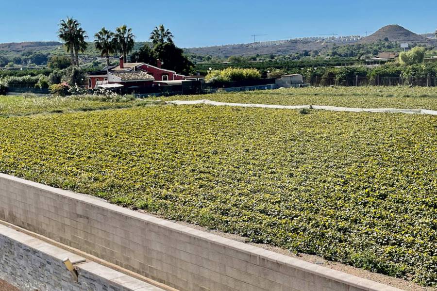 Resale - Villa - Guardamar del Segura