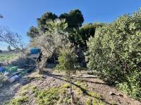 Reventa - Finca / Country Property - Guardamar del Segura