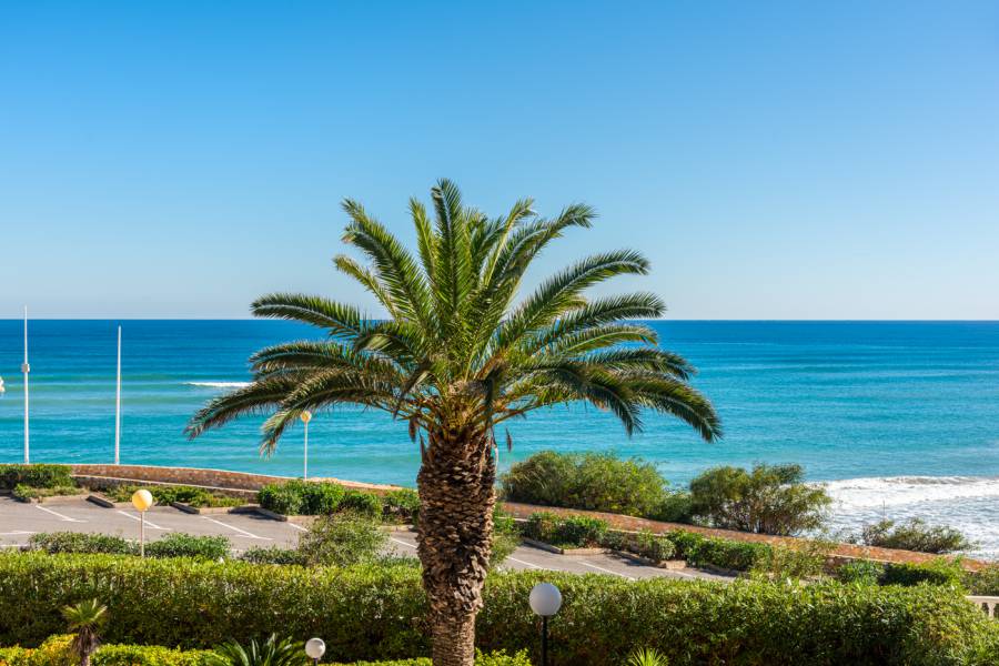 Reventa - Apartment - Orihuela costa - Mil Palmeras