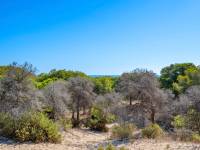 Reventa - Apartment - Guardamar del Segura - Guardamar