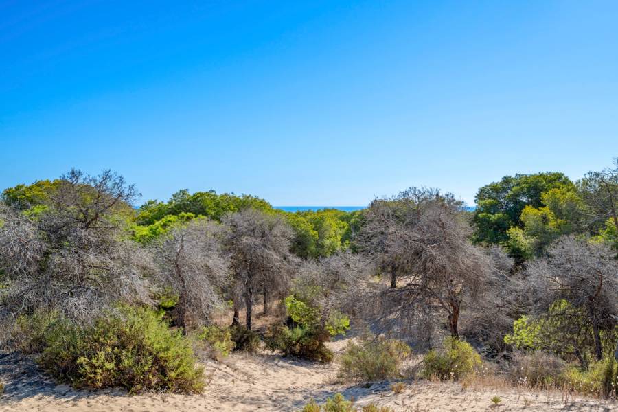 Reventa - Apartment - Guardamar del Segura - Guardamar