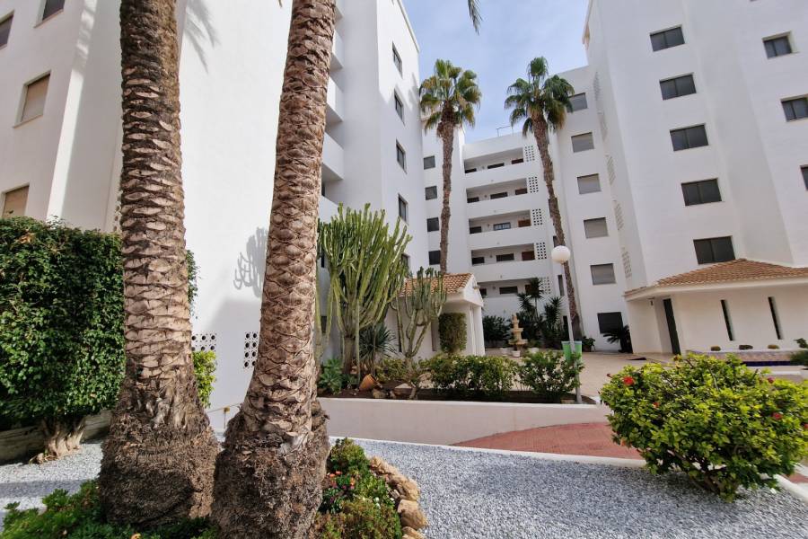 Resale - Apartment - Guardamar Del Segura - Mercadona Guardamar