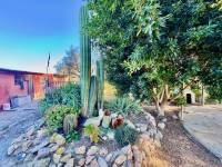 Reventa - Finca / Country Property - Guardamar del Segura