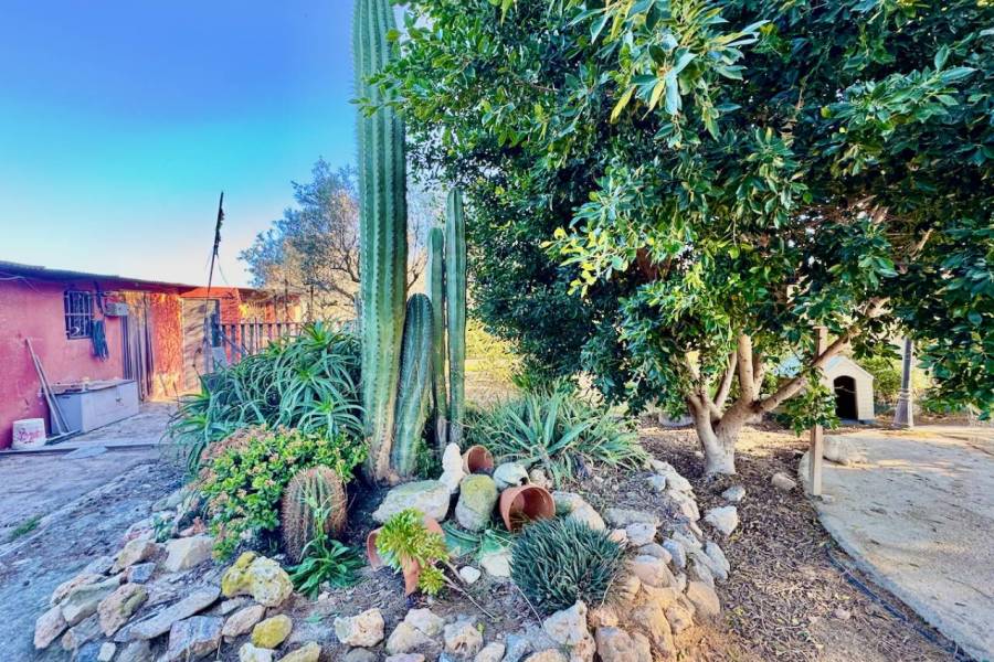 Reventa - Finca / Country Property - Guardamar del Segura