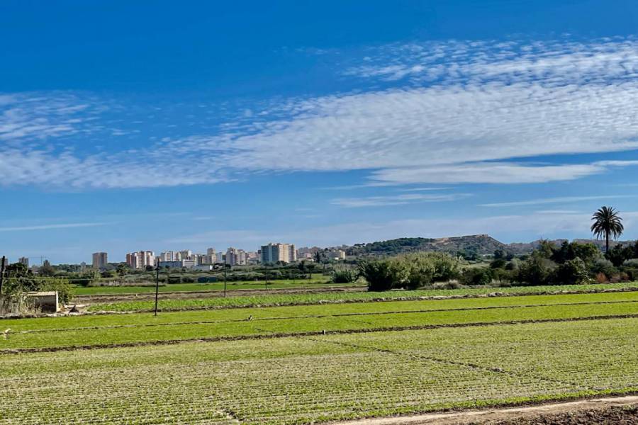 Resale - Villa - Guardamar del Segura