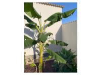 Reventa - Villa / Detached - Ciudad Quesada - Quesada Center