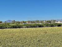Resale - Villa - Guardamar del Segura