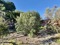 Reventa - Finca / Country Property - Guardamar del Segura