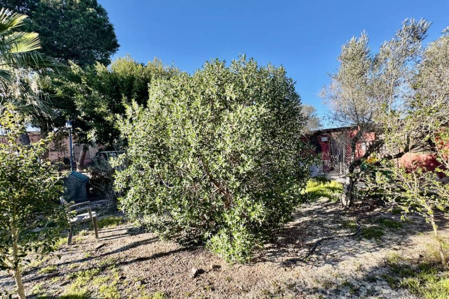 Reventa - Finca / Country Property - Guardamar del Segura