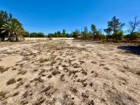 Resale - Finca / Country Property - Los Montesinos