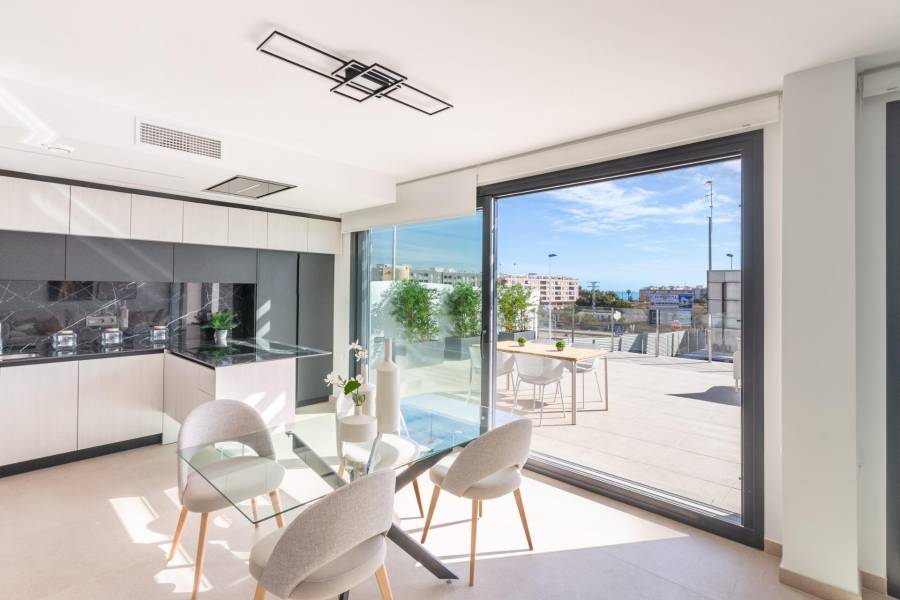 Obra Nueva - bungalow - Guardamar del Segura