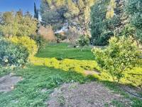 Reventa - Finca / Country Property - Guardamar del Segura