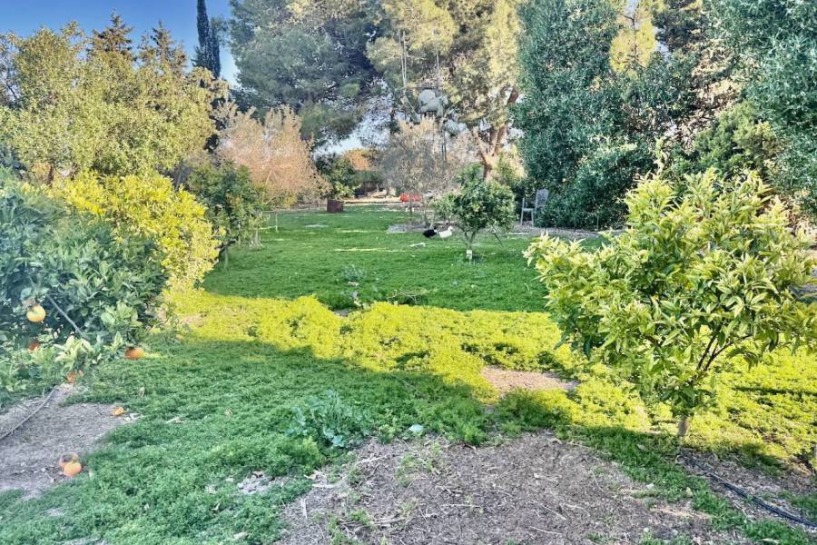 Reventa - Finca / Country Property - Guardamar del Segura