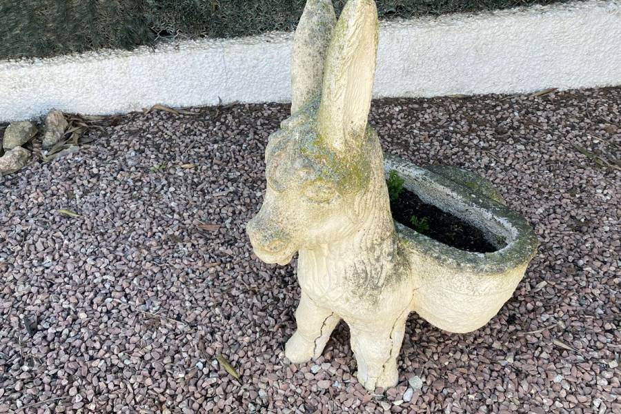 Resale - Finca - Algorfa