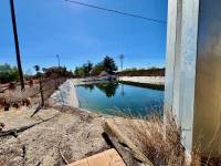 Resale - Finca / Country Property - Los Montesinos