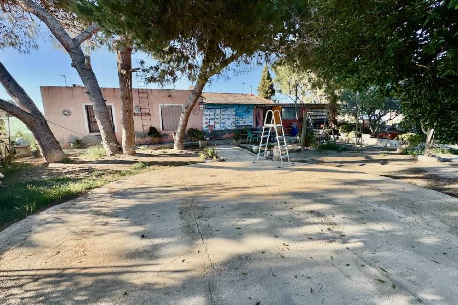 Reventa - Finca / Country Property - Guardamar del Segura