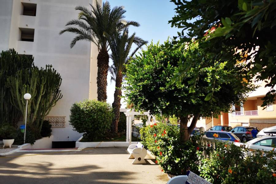 Reventa - Apartment - Guardamar Del Segura - Mercadona Guardamar