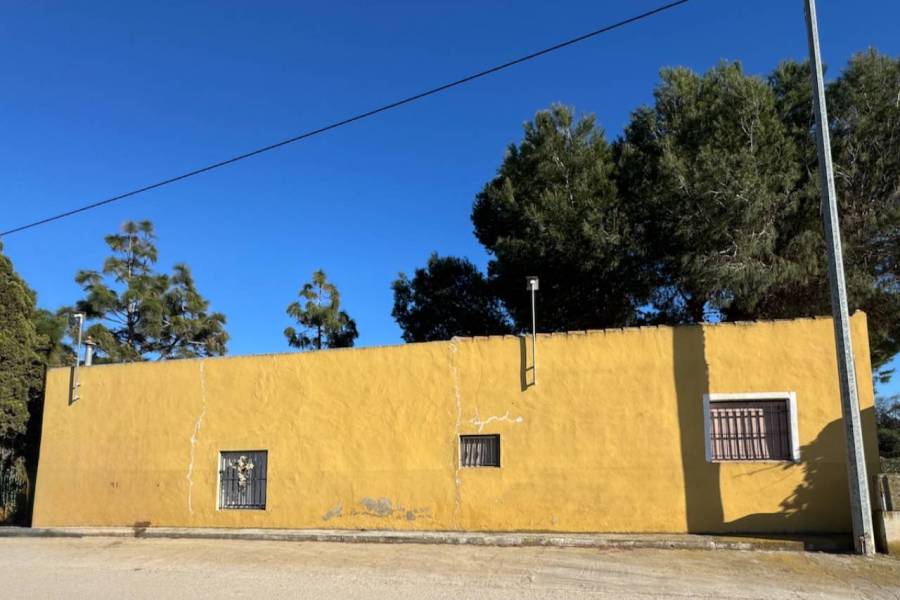 Reventa - Finca / Country Property - Guardamar del Segura