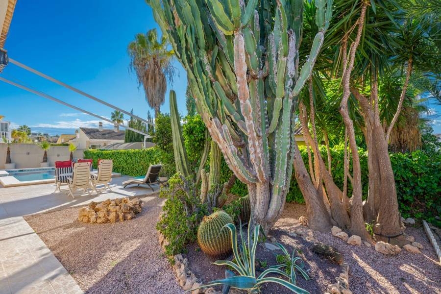 Reventa - Villa - Benijofar - Benimar 1