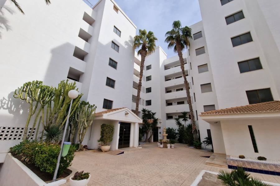 Resale - Apartment - Guardamar Del Segura - Mercadona Guardamar