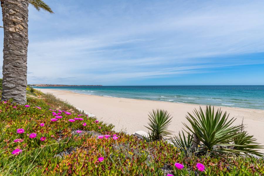 Reventa - Apartment - Orihuela costa - Mil Palmeras
