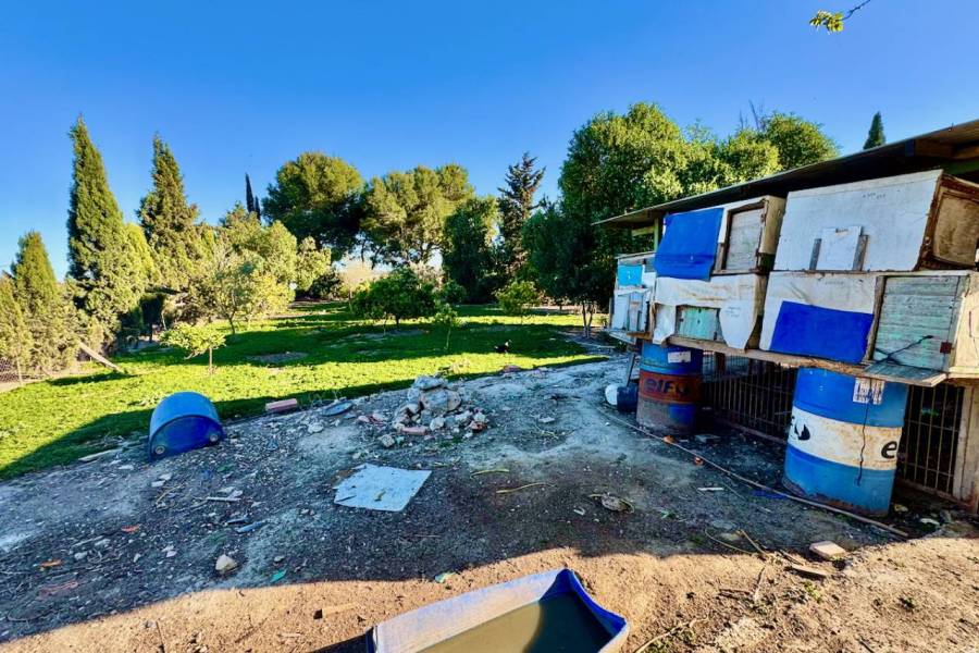 Reventa - Finca / Country Property - Guardamar del Segura