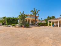 Reventa - Villa - Elche/Elx