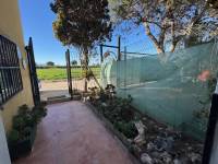 Reventa - Finca / Country Property - Guardamar del Segura