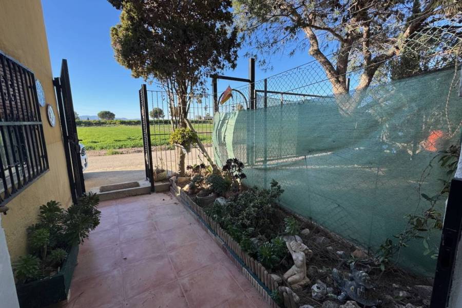 Reventa - Finca / Country Property - Guardamar del Segura