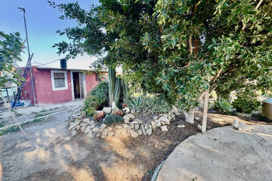 Reventa - Finca / Country Property - Guardamar del Segura
