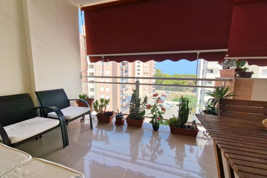 Reventa - Apartment - Guardamar Del Segura - SUP-7 & Port Area