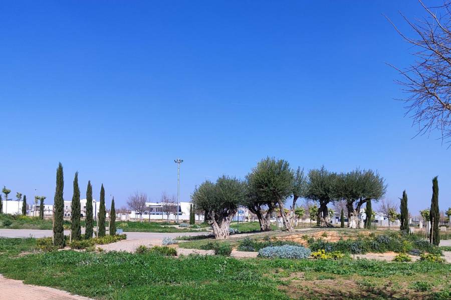 New - Penthouse - Torre Pacheco - Torre-pacheco