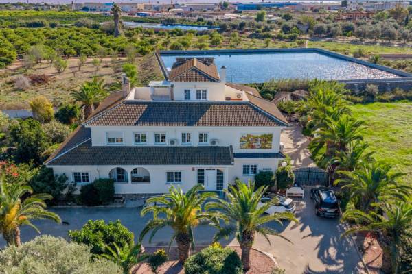 Finca / Country Property - Reventa - Los Montesinos - Los Montesinos