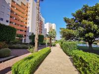 Reventa - Apartment - Guardamar Del Segura - SUP-7 & Port Area