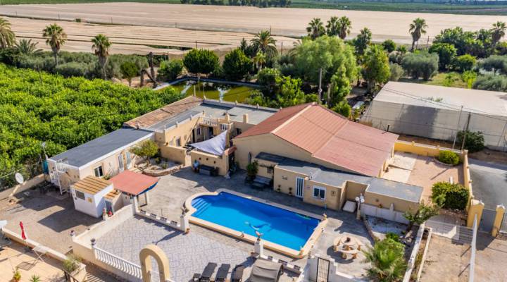 Finca / Country Property - Resale - Los Montesinos - Los Montesinos