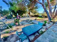Reventa - Finca / Country Property - Guardamar del Segura
