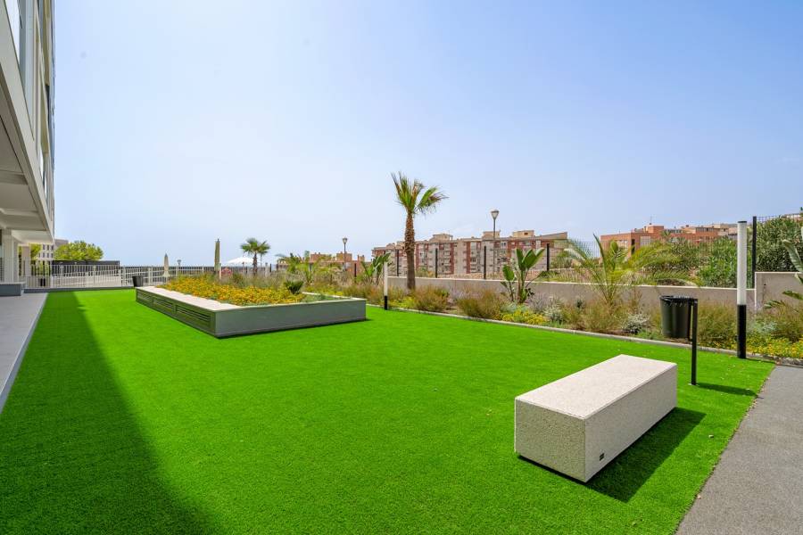 Reventa - Flat - Alicante - San Agustín-PAU 2