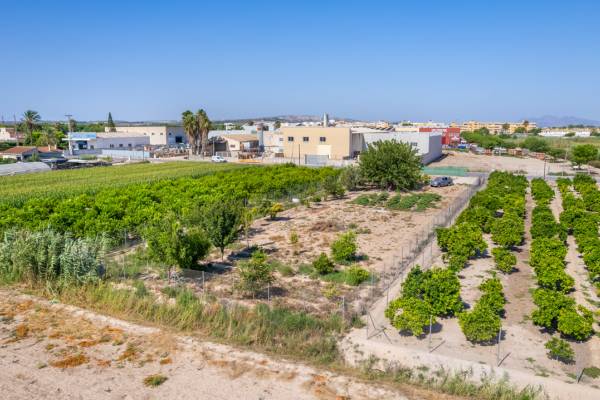 Plot - Resale - Formentera de Segura - Formentera de Segura